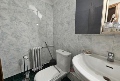 Casă individuală mare, deosebită, D+P+M, Timișoara, Braytim, comision 0% - 33