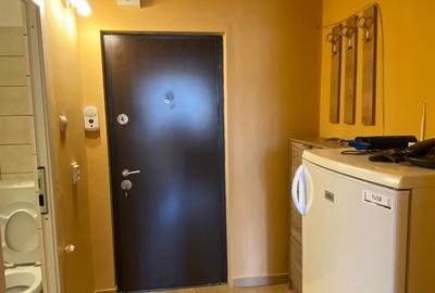 Garsonieră semidecomandată, mobilată în Grigorescu - 8