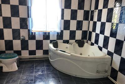 Vila in Bulbucata, Giurgiu, sat Teisori - 15