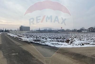 Teren Construcții de 6210 mp, în Ciolpani - 6