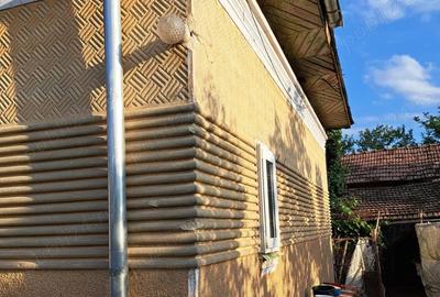 Casă cu 4 camere cu Teren 2500 Mp în Nicolae Bălcescu - 1