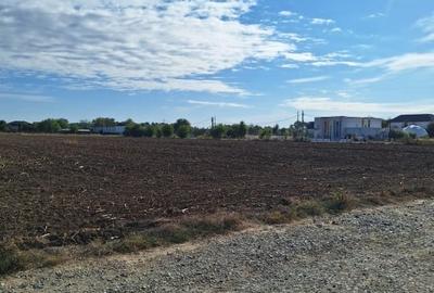 Snagov- Ciofliceni, loturi de casa intre 504-670mp, Șerban Cantacuzino! Snagov- Ciofliceni, loturi de casa intre 504-670mp, Șerban Cantacuzino! - 7