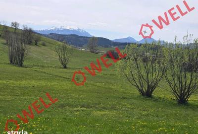 Teren de 6519 mp, în Barcani - 7