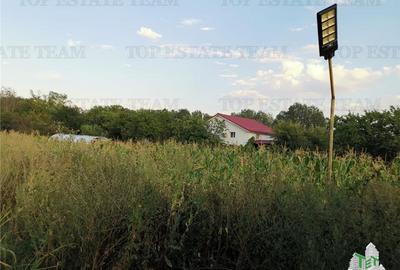 Adunatii Copaceni, teren 1212 mp, hala 136 mp, casa 37.5 mp cu pivnita 12 mp Adunatii Copaceni, teren 1212 mp, hala 136 mp, casa 37.5 mp cu pivnita 12 mp - 1