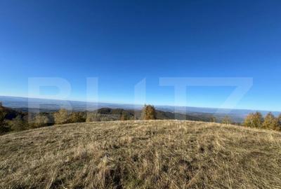 Teren extravilan 54.722 mp in Tarsa - 1