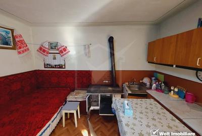 Casa tip duplex cu gradina si anexe, plus teren, 800 mp, Belis - 8