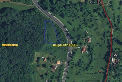 Terenuri extravilane in Luncoiu de Sus, Hunedoara Terenuri extravilane in Luncoiu de Sus, Hunedoara - 4