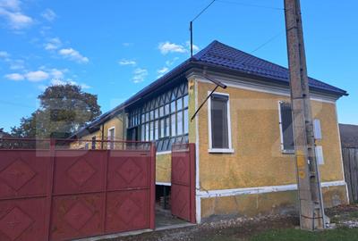 Casa individuala de vanzare in satul Zizin, jude?ul Bra - 5