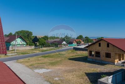 Proiectul Tau de Vis Incepe Aici - Casa Noua, 588 mp Teren, Carpinis - 4
