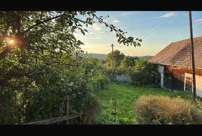 Casă cu 2 camere în Petrești - 1