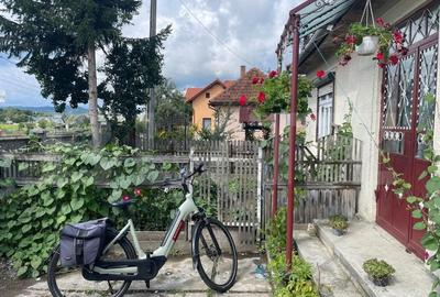 Doua case + anexa, teren 1655mp, Vama Buzaului (Acris) - 5