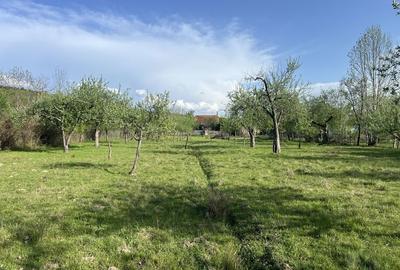 Casă cu 3 camere în Vărzari - 4