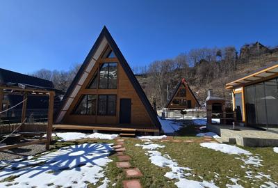 Casă individuală cu 3 camere cu Teren 462 Mp în Trăisteni - 8