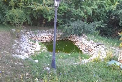 Casa vila de vanzare, Topli?a, Arges - 3