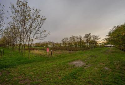 Teren de 1133 mp, în Afumați - 5