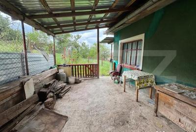 Casă cu 2 camere cu Teren 836 Mp în Central - 5