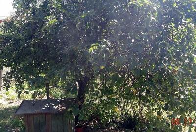 Casă cu 4 camere cu Canalizare în Piața Centrală - 5