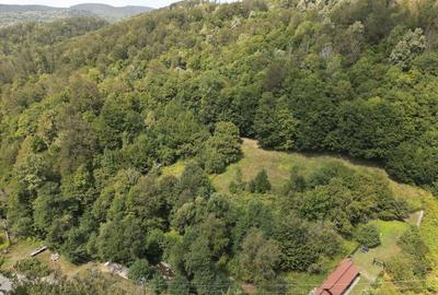 Teren intravilan de 1500 mp pe deal in Moneasa - 12