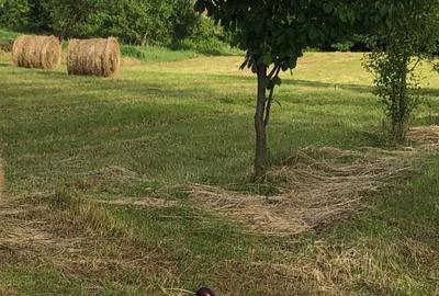 Casă cu 3 camere în Lugașu de Sus - 7