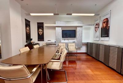 Vila  de inchiriat 11 camere  D+P+2 Timpuri noi 12 locuri de parcare 500 mp util - 9