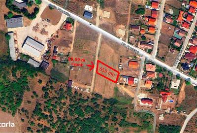 Spațiu comercial, în Paleu - 2