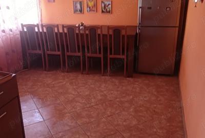 Casa de vanzare, 180mp locuibili cu teren aferent 4000mp - 6