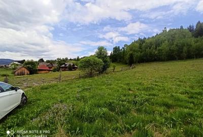 TEREN INTRAVILAN 4000 MP DE VANZARE - VATRA DORNEI - 4