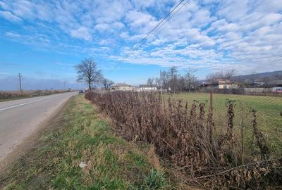 Casa + teren 2600 mp- Com. Negri- scop rezidential sau industrial - 3