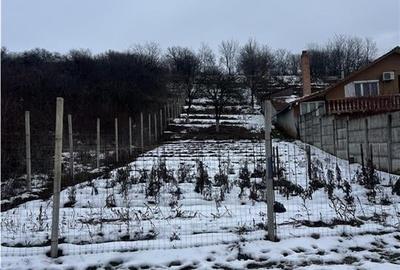 RECO teren intravilan Oradea - 1