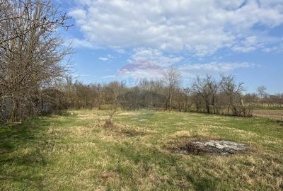 Casă cu 3 camere cu Teren 2609 Mp în Bârgăuani - 11