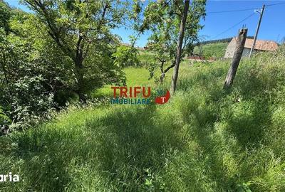 Casă cu 2 camere cu Teren 1493 Mp în Vințu de Jos - 10