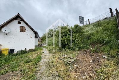 Trei imobile cu teren de 1180mp, 2 casa noi, pivnita,  Sura mare - 3