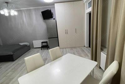 Garsonieră în Șagului