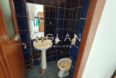 Spatiu comercial 450 mp (P+E)- zona Terezian - 11