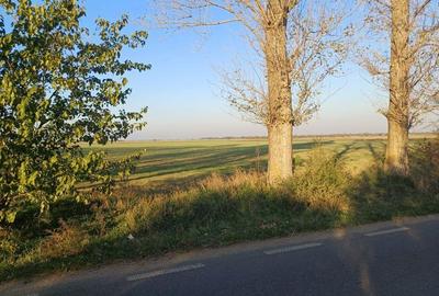 Teren de 5300 mp, în Gruiu - 7