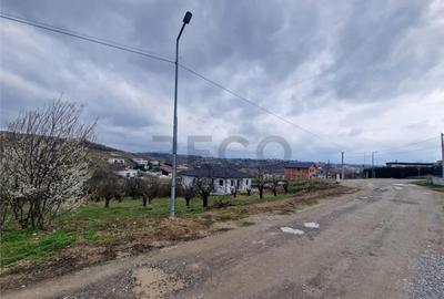 RECO teren intravilan Saldabagiu de Munte - 3