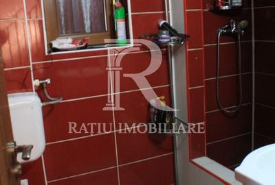 Casă cu 5 camere cu Teren 4458 Mp în Bratca - 5