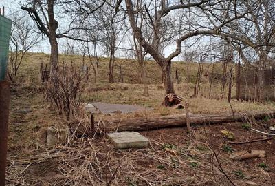 Casă cu 1 camere în Codlea - 3