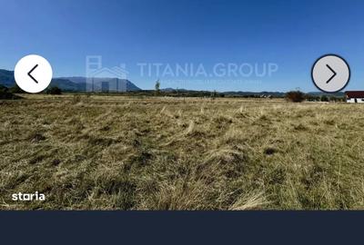 De inchiriat teren - 5