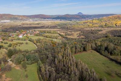 Teren Construcții intravilan de 37723 mp, în Tohănița - 1