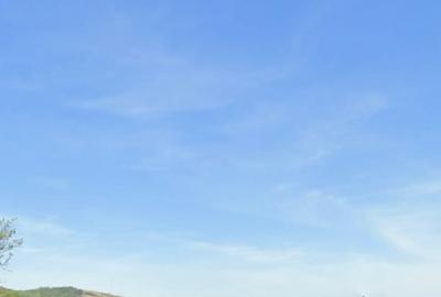 Teren Construcții extravilan de 4524 mp, în Ștei - 2