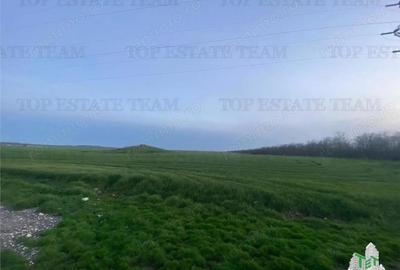 Teren de 15000 mp, în Central - 1