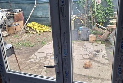 Casă cu 3 camere în Barza - 5