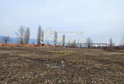 Teren de 57662 mp, în Căiuți - 11