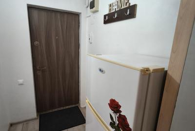 Sat vacanta - Garsoniera moderna in bloc nou + loc de parcare - 8