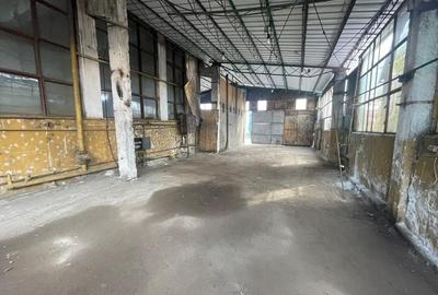 Spatiu industrial I 110-300 mp I Depozitare I Productie - 4