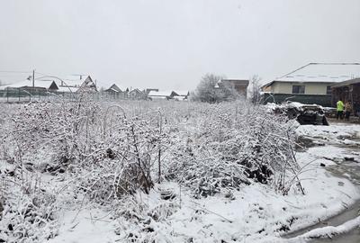 Teren de 1712 mp, în Moșoaia - 1