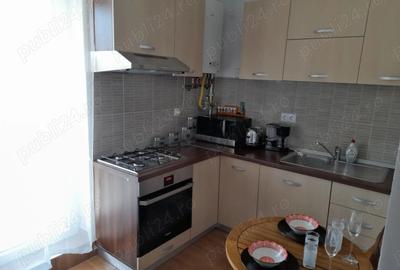 Garsonieră decomandată în Turnișor - 8