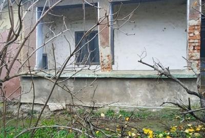 Localitatea Soldanu, jud Calarasi, str. Dumbrava - 2