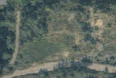 Teren de 6200 mp, în Tăuții-Măgherăuș